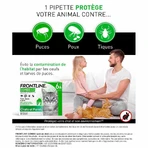 Frontline Combo Spot-on Katze und Frettchen 6 Pipetten 0,5 ml