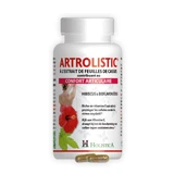 Holistic Joint Wellbeing Artrolistic 60 Kapseln