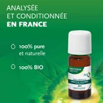 Phytosun Aroms Ätherisches Öl Pfefferminz 10ml