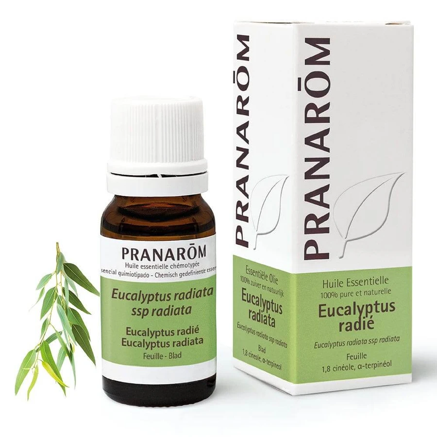 Pranarôm Etherische oliën Eucalyptus Radie 10ml