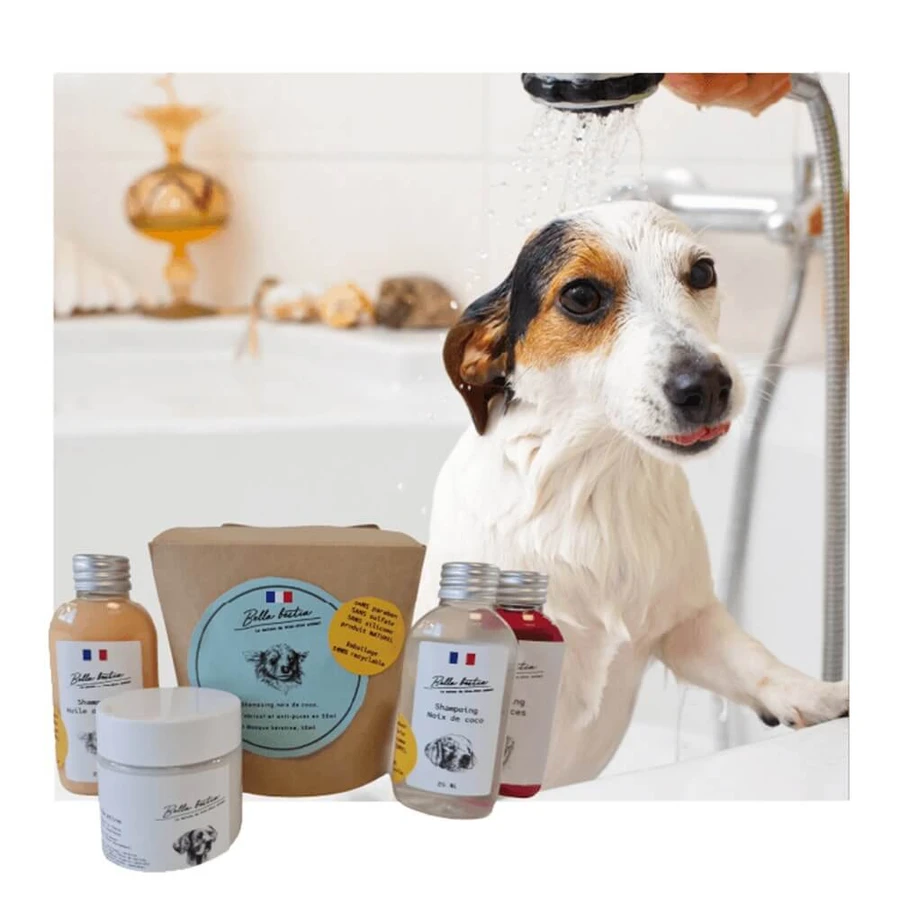 Biofood Box Set 3 Shampoos + 1 Maske 200 ml