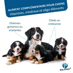 Ceva Pet Phos Growth Ca/P=2 Large Dogs 100 Tablets