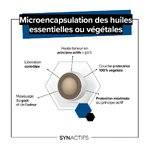 Aragan SynActifs SomActifs Slapen 30 capsules