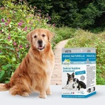 Vetoform Hond Reiniging 50 tabletten