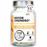 Kotor Pharma Condro Cartílago y Articulaciones 60 Cápsulas