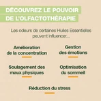 Pranarôm Aromaboost Energie Nebel Bio 50ml