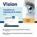 Densmore CHICOLINE 500 Maintien de la Vision 30 SACHETS