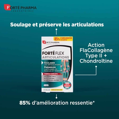 Forté Pharma Forté Flex Articulations 90 gels