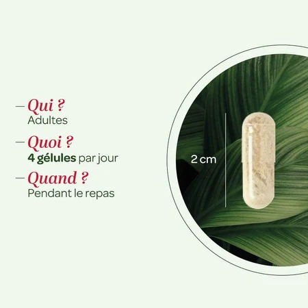 Superdiet Quatuor Bloedsomloop Rode Wijnstok 120 Capsules