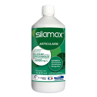 Labo Sante Silice Silamax 1l