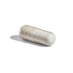 Solgar Mild IJzer 25 mg Vitalité 90 plantaardige capsules
