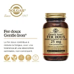 Solgar Mild IJzer 25 mg Vitalité 90 plantaardige capsules
