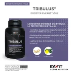 Eafit Tribulus Synthese Testosterona 90 Comprimidos