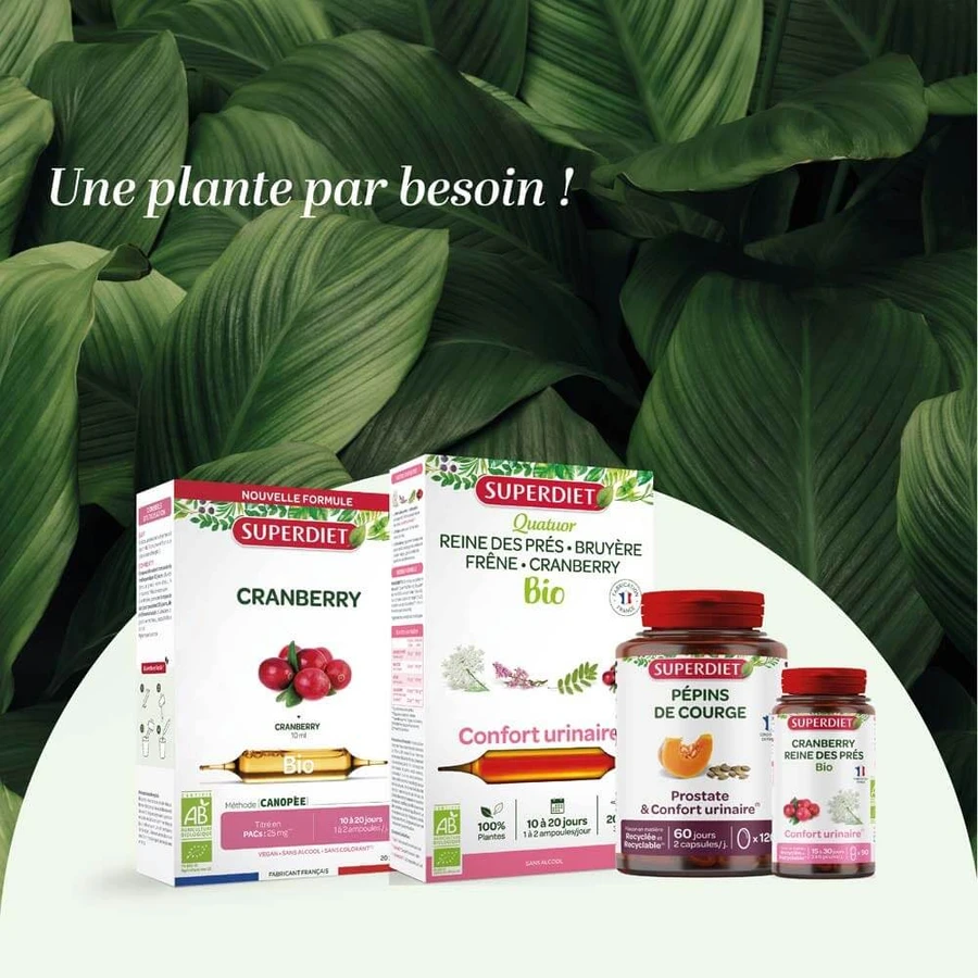 Superdiet Veenbes Reine Des Prés Bio Confort Urinaire 45 Gélules