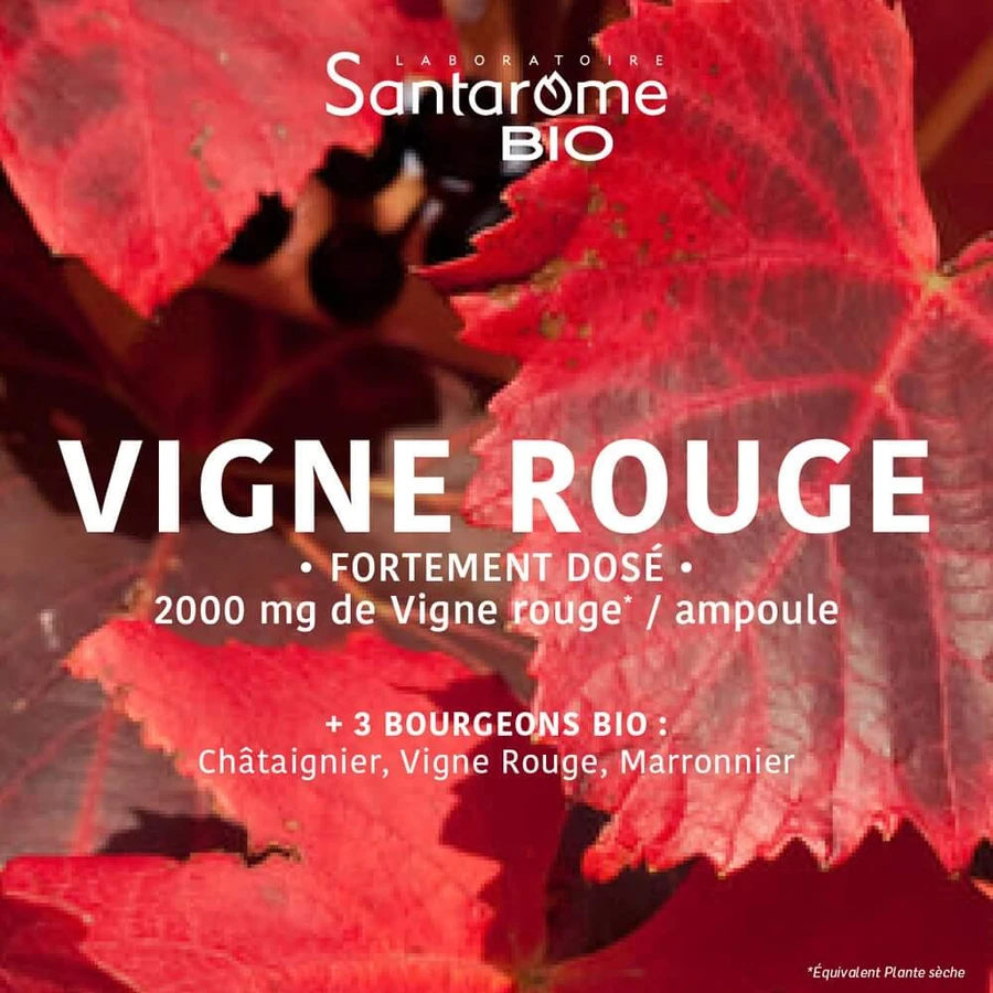 Santarome Vigne Rouge Favorisce il ritorno venoso Bio 20 Ampolle da 10ml
