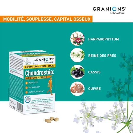 Granions Chondrostéo Chondrosteo Joints 3x90 Tablets