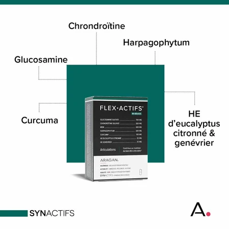 Aragan Synactifs Flexible Gelenke 60 Gels