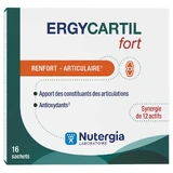 Nutergia Forte Ergycartil Gewrichtsversterking 16 Zakjes