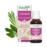 Herbalgem Gemmotherapie Komplexe Intestinal Comfort Cologem 30ml