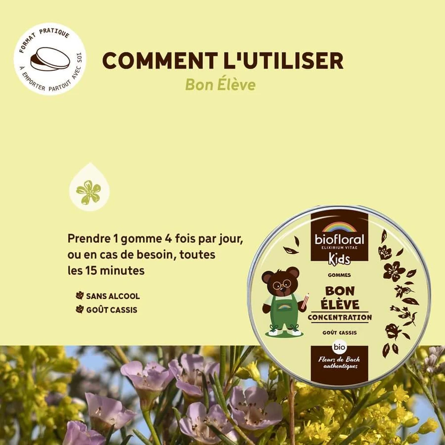 Biofloral Kinder Kaugummi Bon Elève Bio 45g