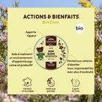 Biofloral Kinder Kaugummi Bon Elève Bio 45g