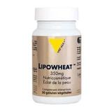 Vit'All+ Lipowheat™ 350 mg 30 plantaardige capsules