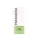 Pranarôm Essential Oils Atlas Cedar essential oil 10ml