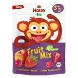 Mélange de fruits lyophilisés bio, 13 g, Holle