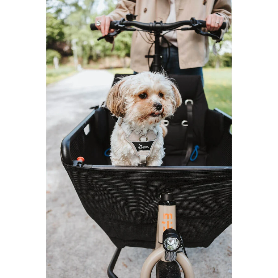Imbracatura per Cani Hunter DIVO UP Beige S/M
