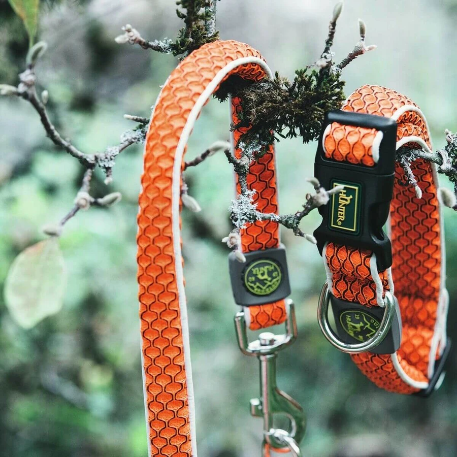 Obroża dla psa Hunter Basic Wire Orange Rozmiar M Pomarańczowa (33-50 cm): ceny i cechy
