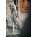 Hondenriem Hunter Blauw 100 cm