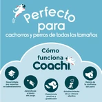 Coachi Train & Treat Bolsa Universal Azul