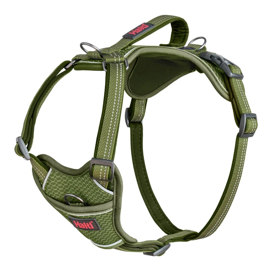 Szynka dla psa Company of Animals Zielona M 35-55 cm: ceny i cechy
