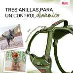 Szynka dla psa Company of Animals Zielona M 35-55 cm: ceny i cechy