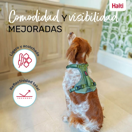 Szynka dla psa Company of Animals Zielona M 35-55 cm: ceny i cechy