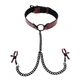 Tepelklemmen Ketting Sportsheets