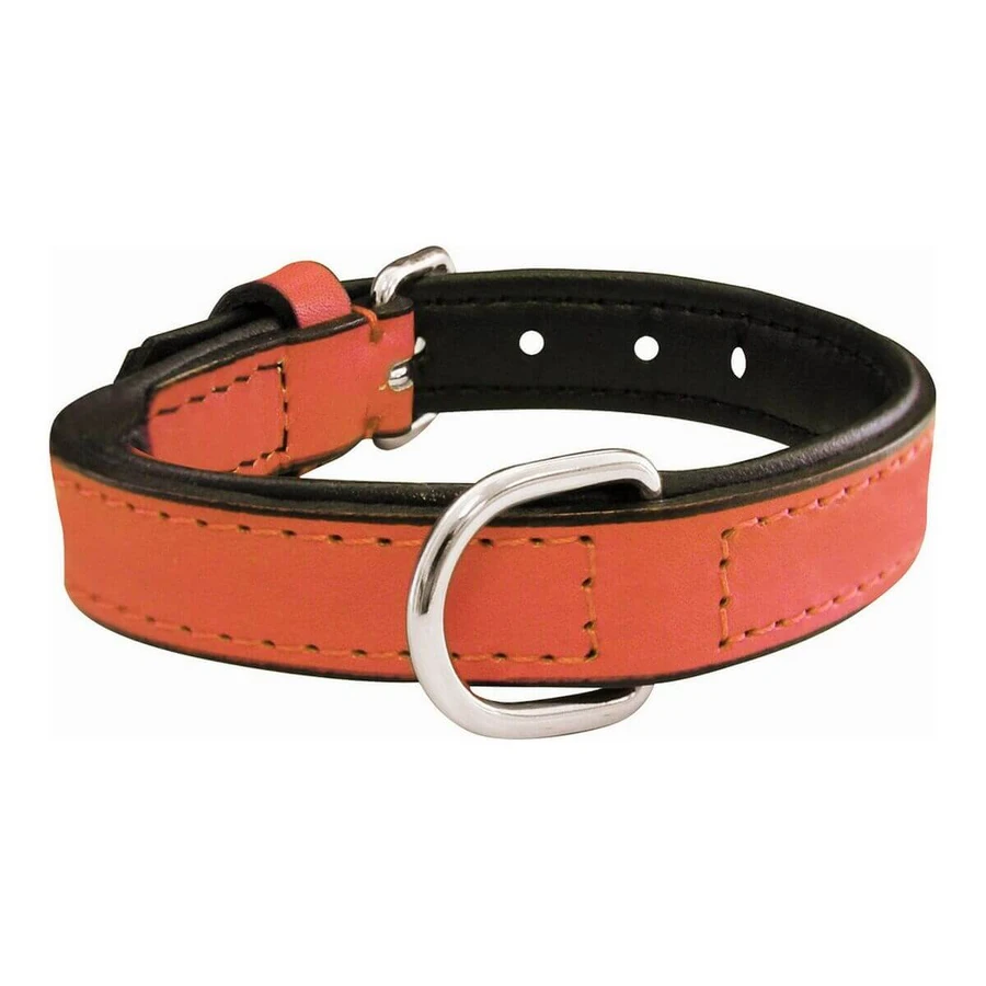 Obroża dla psa Gloria Padded Coral (50 x 2,5 cm): ceny i cechy