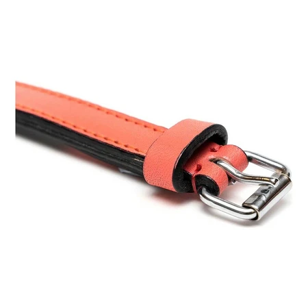 Obroża dla psa Gloria Padded Coral (50 x 2,5 cm): ceny i cechy