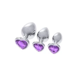 Anaalplug S Pleasures Zilver Lila