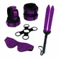 Pleasure Kit Whipsmart