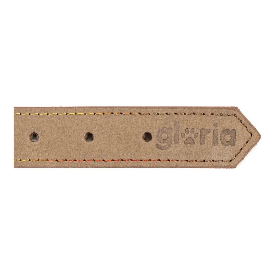 Collar para perro Gloria Oasis Blanco (50 x 2,1 cm)