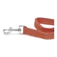 Correa para perros Gloria Oasis 2,1 x 100 cm Rojo