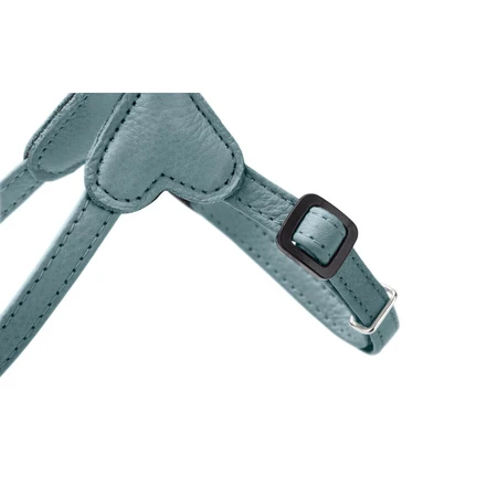 Harnais pour Chien Hunter SOHO MINI Bleu XS