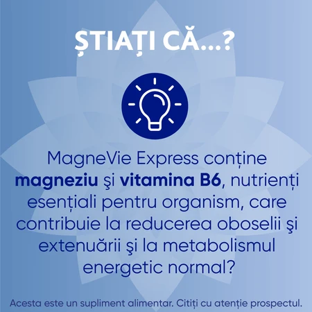MagneVie Express, 150 mg de magnésium + 0,7 mg de vitamine B6, énergie supplémentaire, administration sans eau, 2x20 sachets