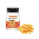 Phyto-Actif Jalea Real bio 2000mg titulada en 10 hda 60 cápsulas