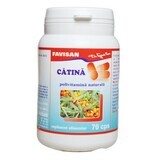 Catina, 70 capsules, Favisan