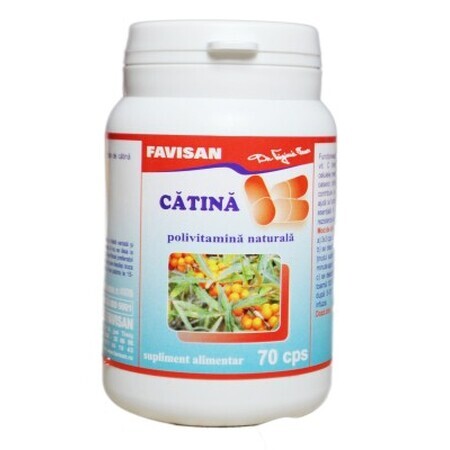 Catina, 70 capsules, Favisan