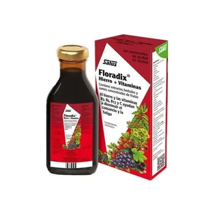Floradix Eisen + Vitamine 500ml