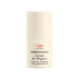 Embryolisse Secret de Maquilleurs Eye Shimmer 4,5 g
