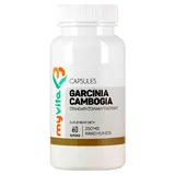 MyVita, Garcinia cambogia, extrait HCA 250 mg, 60 gélules